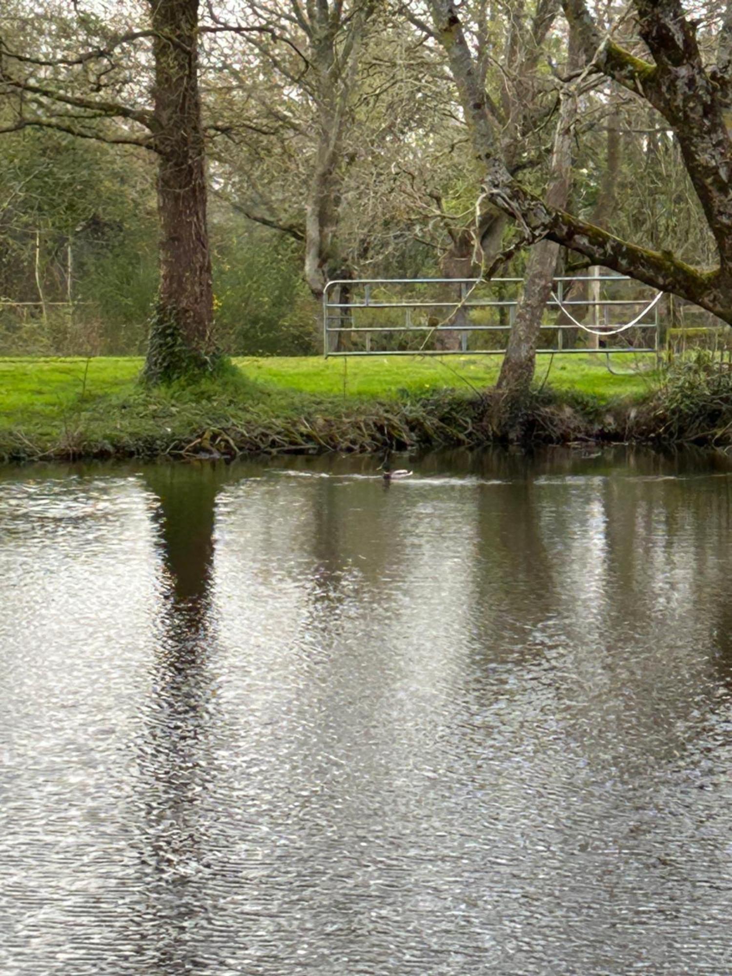 La Maison De L'Etang Manerbe Exteriör bild